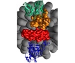 Researchers propose new  technique to detect SARS-CoV-2