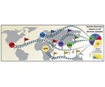 Researchers sequence 64 human genomes at high resolution