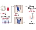 New gel electrophoresis method allows rapid diagnosis of biomarkers by mass spectrometry
