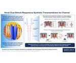 Synthetic biomolecule resembles dual stimuli-responsive channel