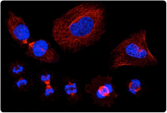 Molecular mapping of proteins shows promise for treating cancer