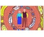 Study reveals distinct gut microbiome signature associated with healthy aging, longevity