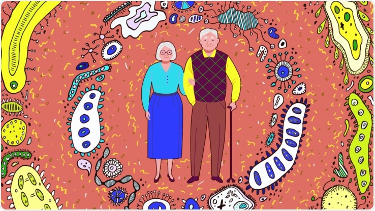 Study reveals distinct gut microbiome signature associated with healthy aging, longevity