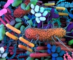 Study shows how microbiomes may recover from biodiversity loss
