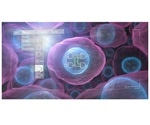 New technology identifies useful genetic designs more efficiently