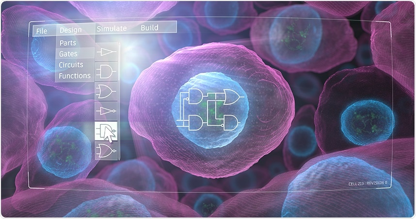 New technology identifies useful genetic designs more efficiently