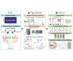 New tool helps decode the language used by cells
