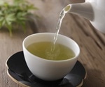 Antioxidant in green tea may lead to new anti-cancer drugs