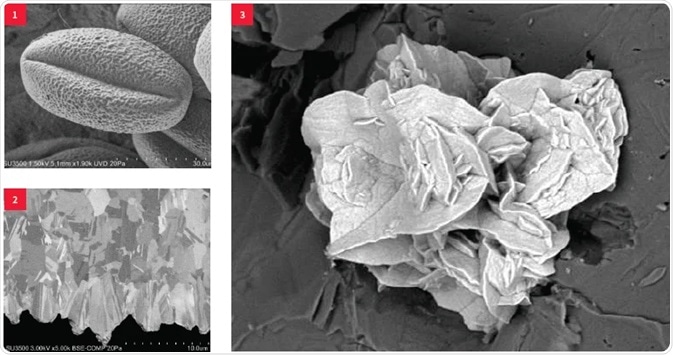 (1) Pollen, low-vacuum SE, 1.5 kV; (2) Metal cross-section, BSE, 3 kV; (3) Copper minerals, low-vacuum, 5 kV.