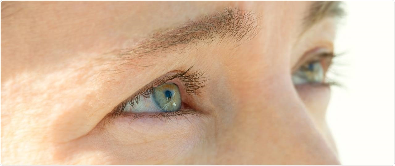Protein imbalance leads to cataract