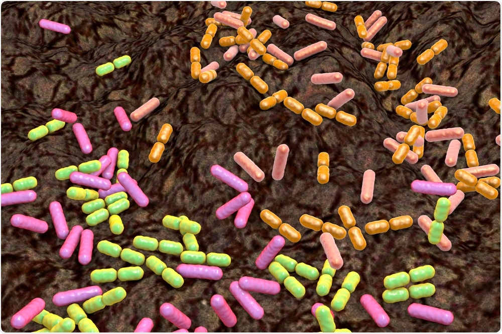Soil Bacteria Soil Bacteria
