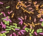 Using soil bacteria for antibiotic production