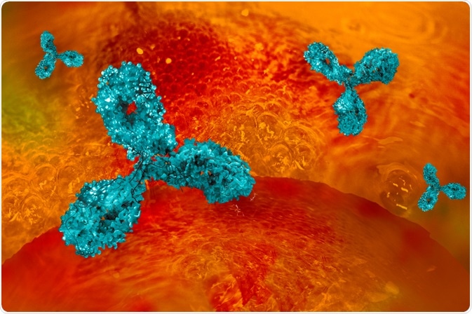 Monoclonal Antibodies Monoclonal Antibodies
