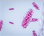 New research on mitochondrial function can play significant part in serious disease