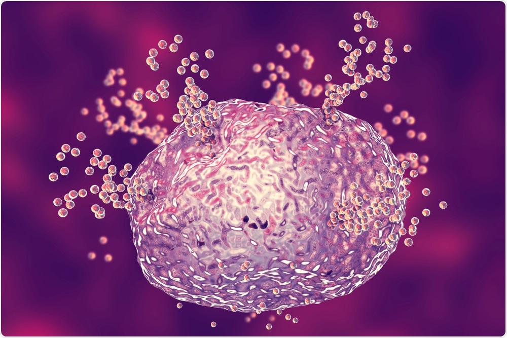Mast Cells Mast Cells