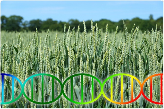 Crops and Genetics Crops and Genetics