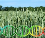 Improving Crop Yields using Genetics