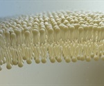 Lipidomics in Food Science
