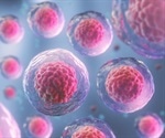Stem Cell Properties