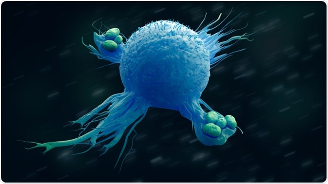 Macrophage Macrophage