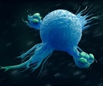 Innate vs Adaptive Immune Responses