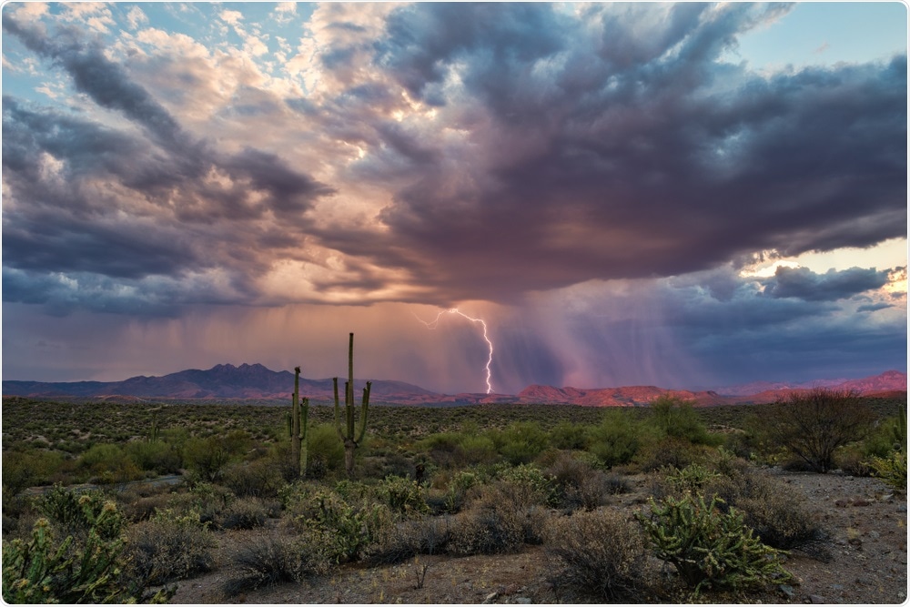 Monsoon Monsoon