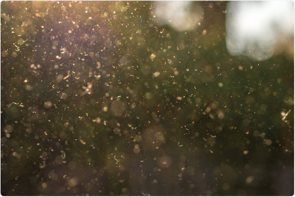 Pollen Pollen