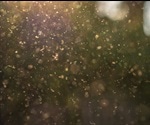 How is climate change affecting the allergy season?