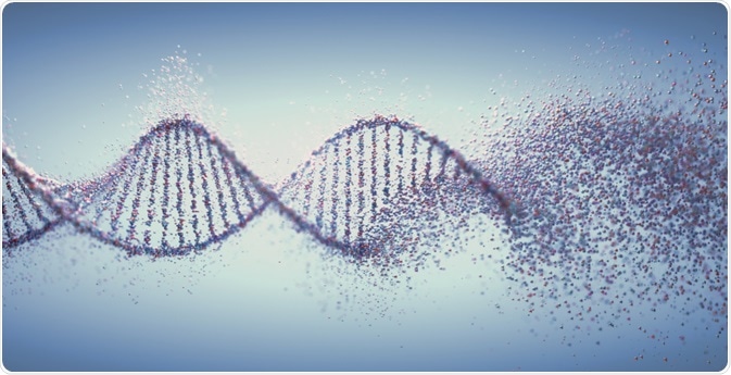 Genetics Concept Genetics Concept
