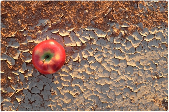 Food Security Food Security