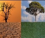 Study highlights the effect of climate change on microbial interactions