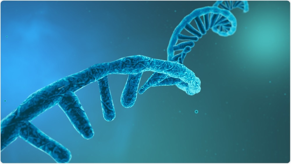 RNA RNA