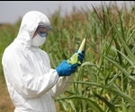 Insight into Genetically Modified Food