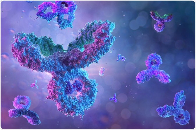 Antibodies Antibodies