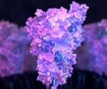 Study reveals new therapeutic targets on SARS-CoV-2 Spike protein
