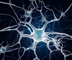 Cell Biology of Neurogenesis