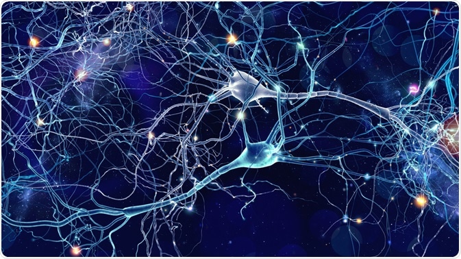 Neurobiology Neurobiology