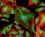 Advances in Fluorescence Microscopy