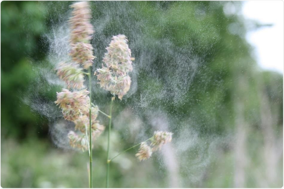 Environmental DNA could help better understand grasses that cause allergies