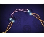 Six novel CRISPR-Cas12a variants expand genome engineering in plants