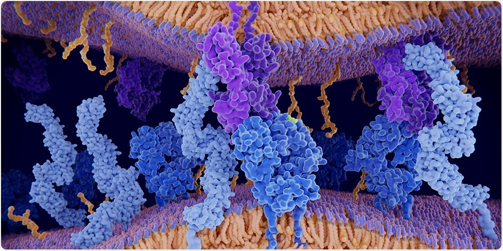 Study sheds light on how T cells specialize to combat pathogens