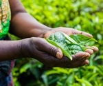 Specific proteins in plants can prevent zinc deficiency in humans
