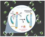 New “genome scalpel” can rapidly trim microalgal genomes
