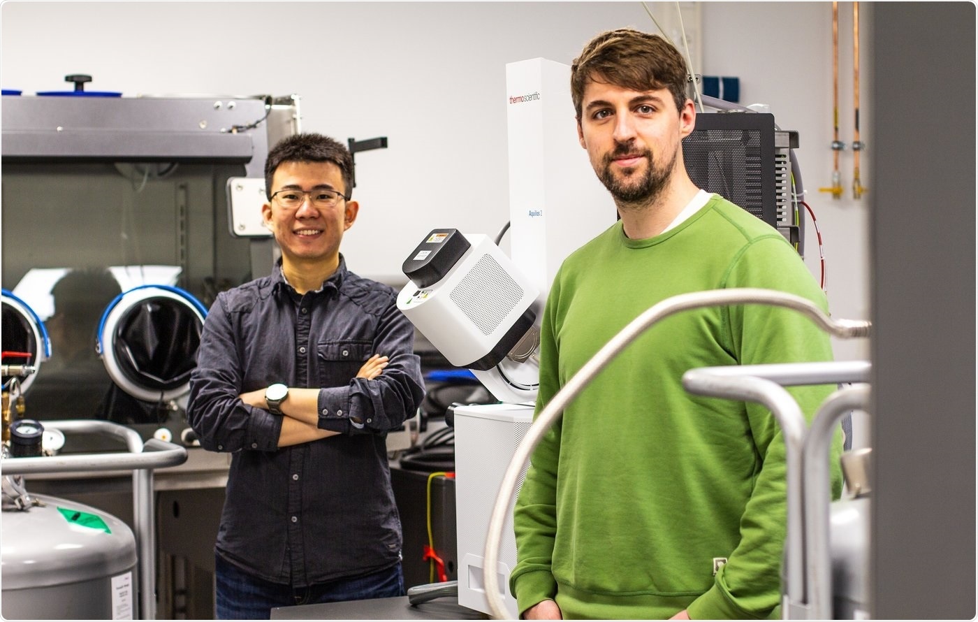 Electron cryo-tomography reveals 3D images of sarcomeres at high resolution