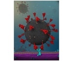 Virus-cell interaction may explain the high infection rate of COVID-19 virus