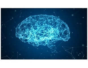 Innovative computational model of cells could help better understand neurodevelopmental disorders