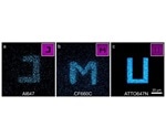 Simple buffers can prevent photoblueing effect in microscopy
