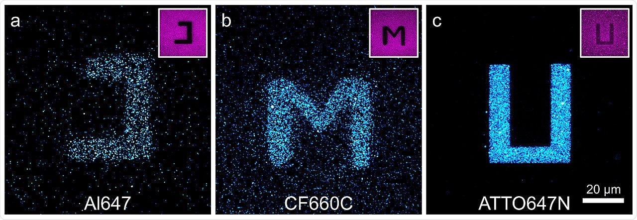 Simple buffers can prevent photoblueing effect in microscopy