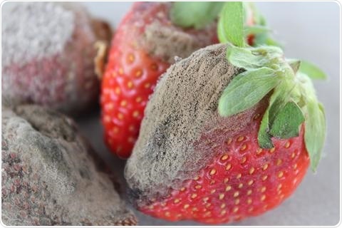 New way to create eco-friendly fungicides that protect food crops