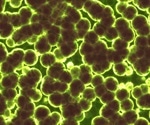 New models can optimize wastewater disinfection process, prevent spread of antibiotic resistance
